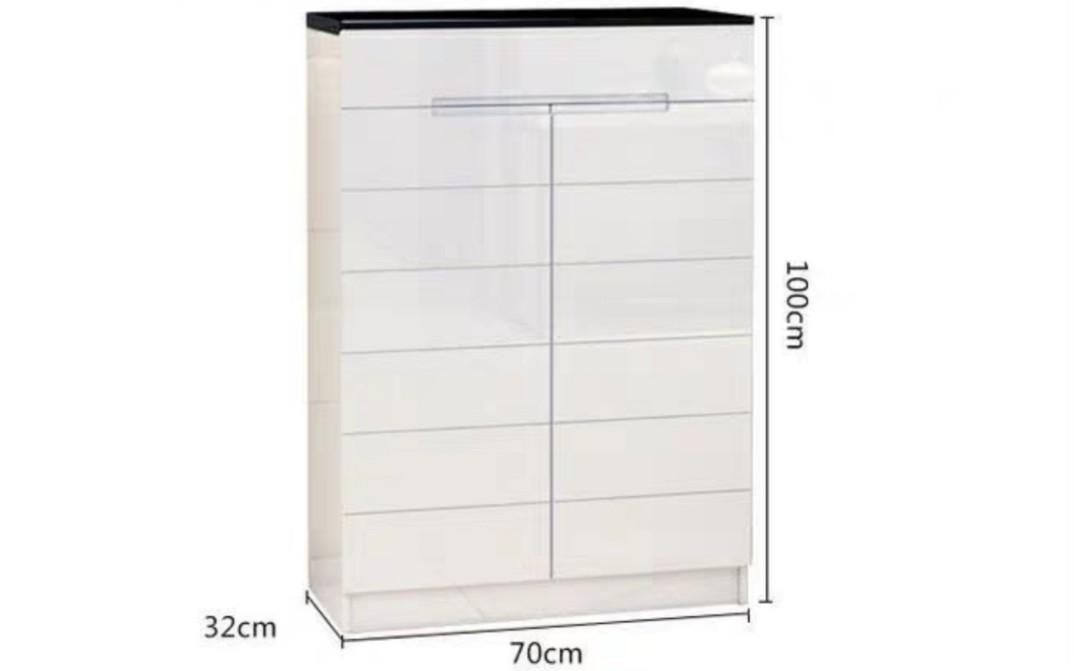 (Clearance) ALEXIS Modern Shoe Cabinet