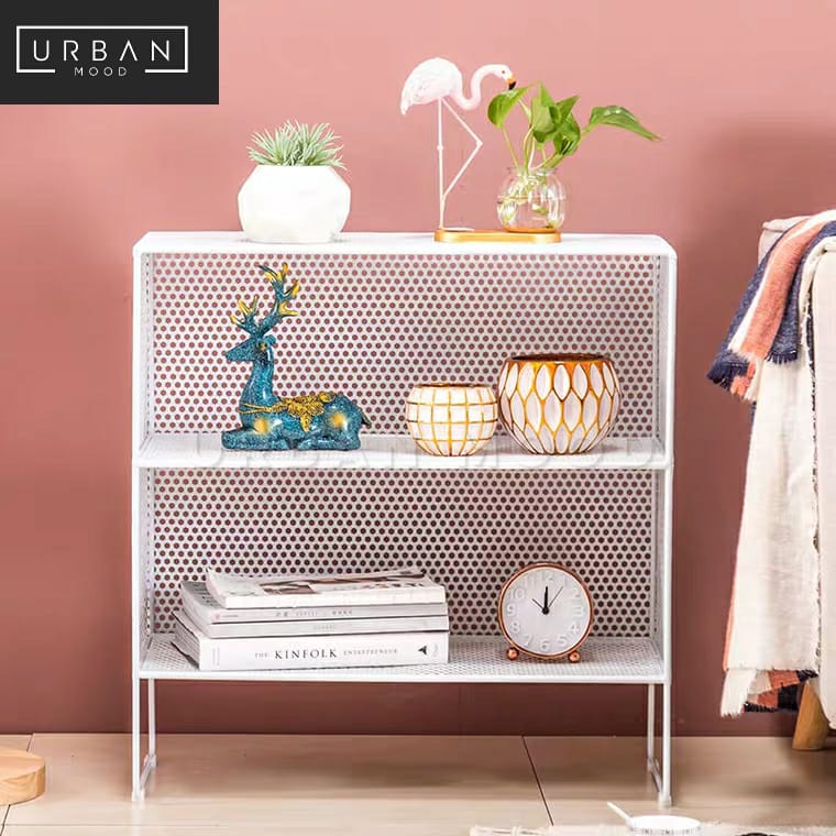 AMARIS Minimalist Wireframe Display Shelf