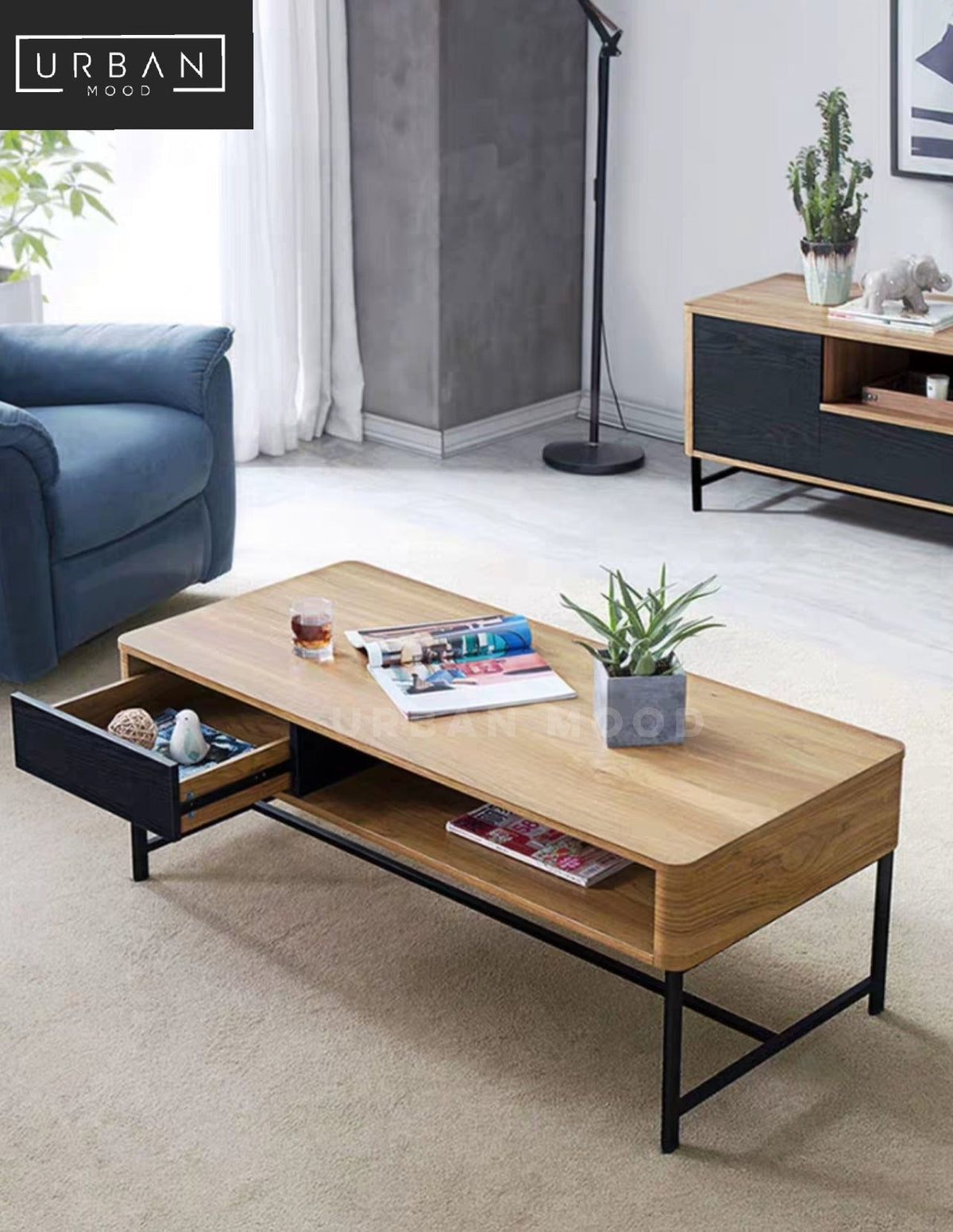 CASHMAN Modern Industrial TV Console