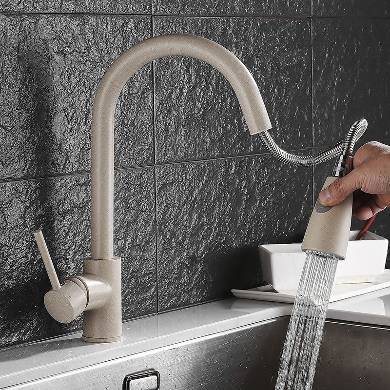 TISH Modern Matte Nude Extendable Tap Faucet