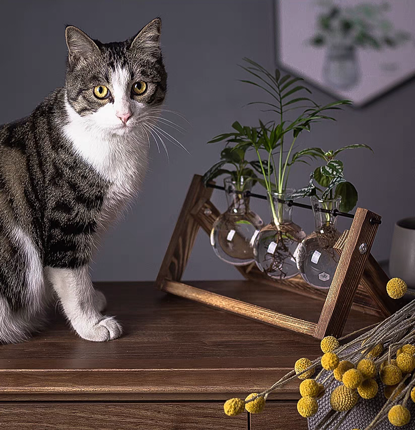 CHEMIST Rustic Planter