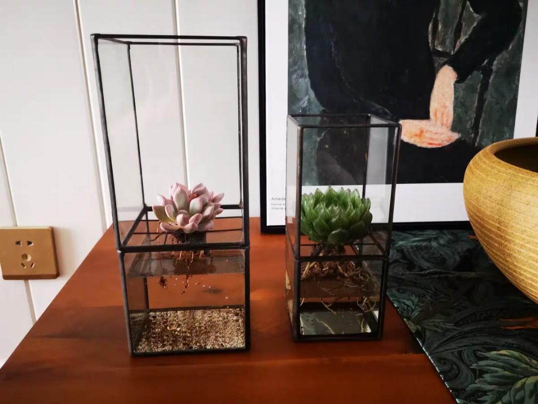 WISTMAN Minimalist Acrylic Planter